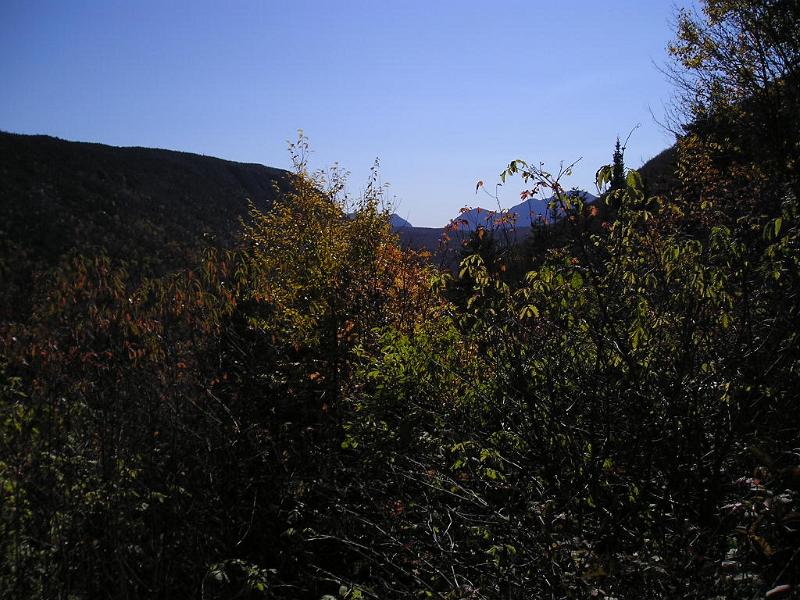 Zeacliff (15).JPG - The view from the hut